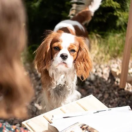 Lägenhet Wind Rose - Luxury