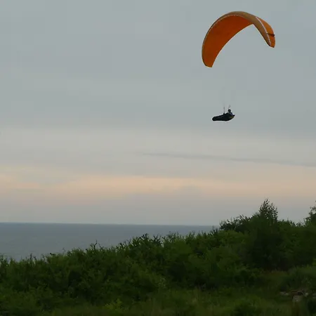 Wind Rose - Luxury Gdańsk